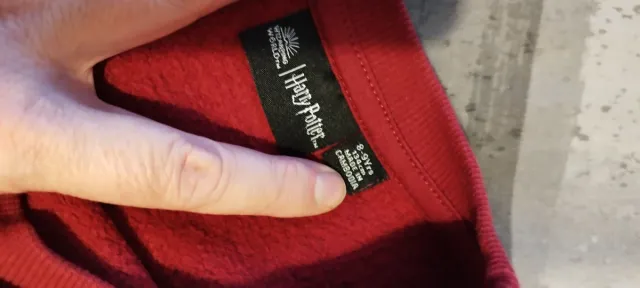 Chándal Harry Potter