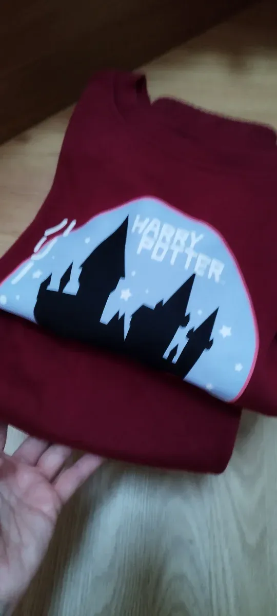 Chándal Harry Potter