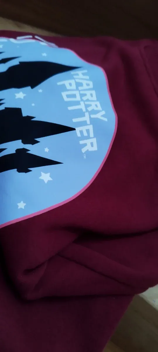 Chándal Harry Potter