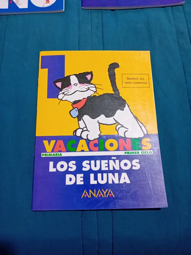 Vacaciones, 1º Educacion Primaria,1 Ciclo : los...