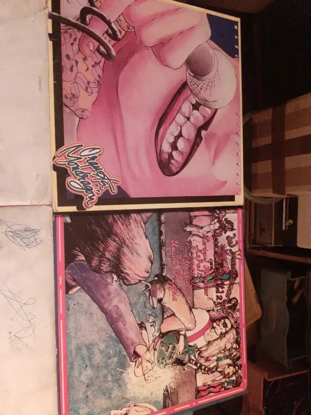 Lote 7 Vinilos LP Indie / Rock Nacional