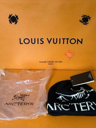 Gorro Arc'teryx Negro