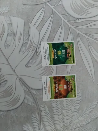 2 Cromos Balón de Oro Vinicius Jr. y Rodrygo