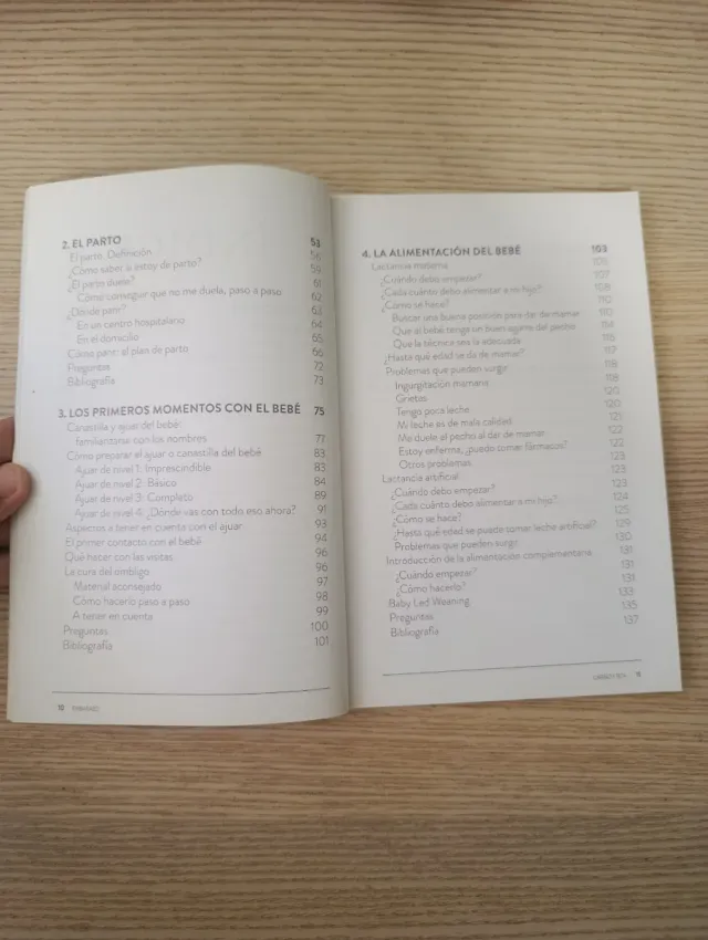 Cariño y teta: Manual de instrucciones del bebé