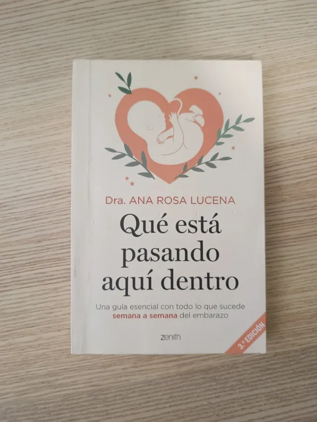 Qué está pasando aquí dentro: Una guía esencial...