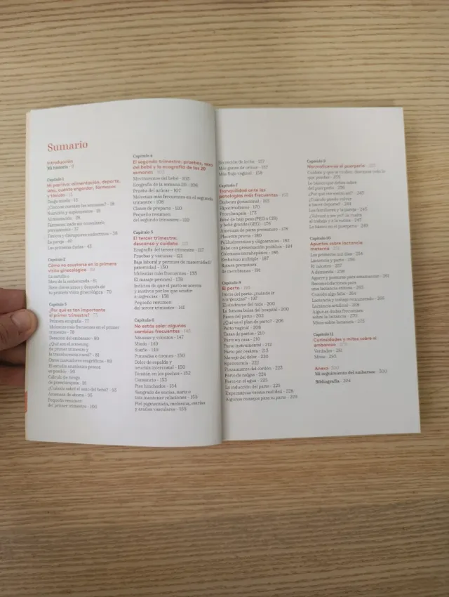 Qué está pasando aquí dentro: Una guía esencial...