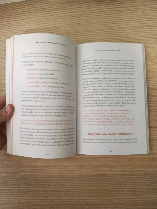 Qué está pasando aquí dentro: Una guía esencial...