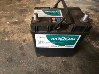 Scuotitore Olive Abbachiatore a Batteria 12V