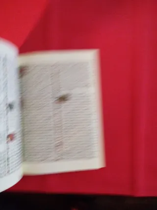 Constitución de la II República española