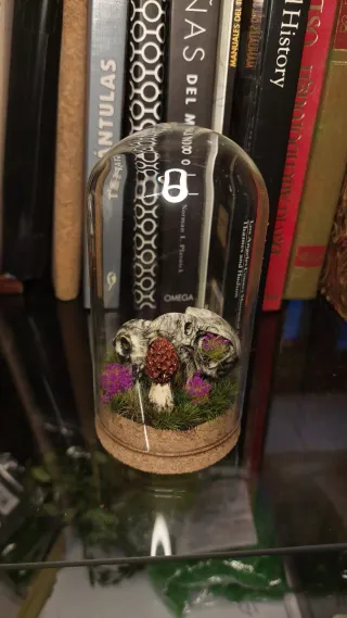 Cúpula Decorativa Caveiras e Cogumelo