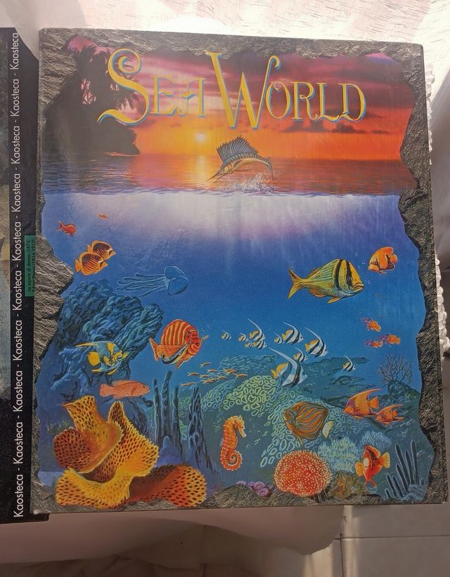 Raccoglitori ad anelli artistici Kaos