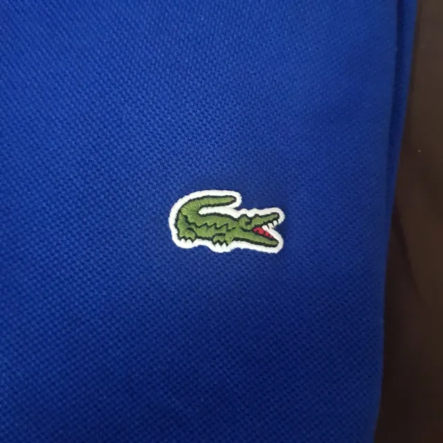 Polo Lacoste Azul