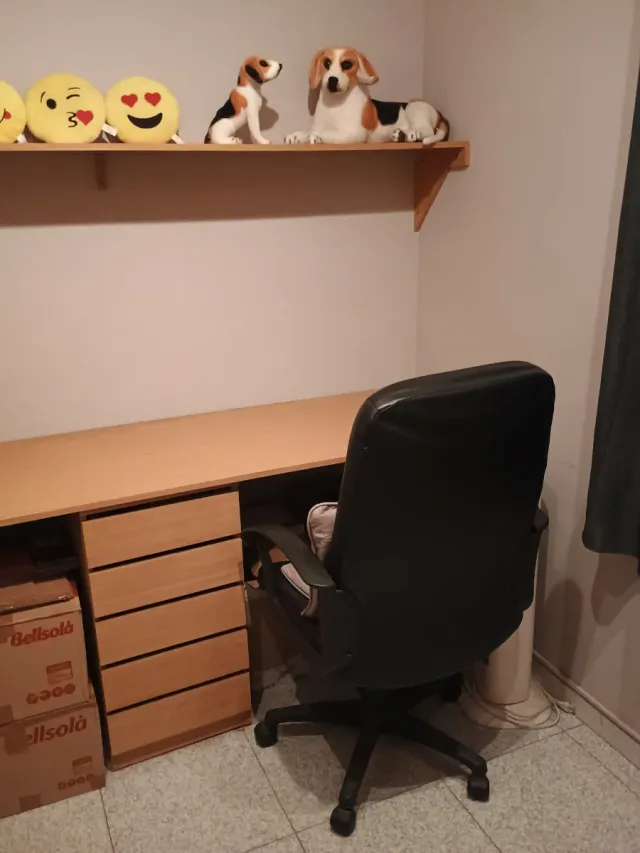 Escritorio amplio para dos personas,con armario.