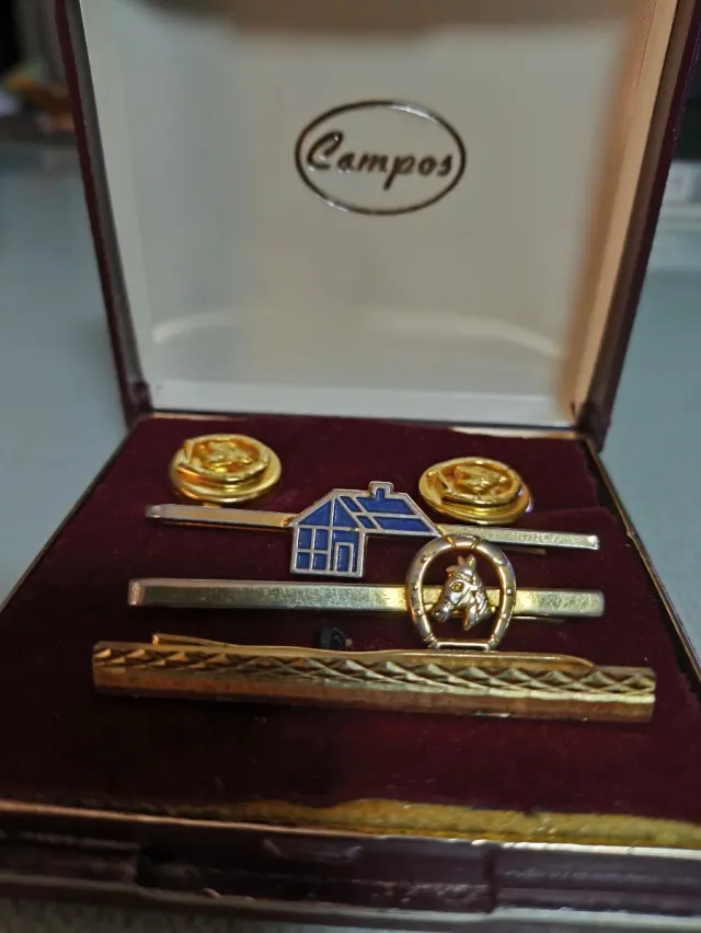 Gemelos y Pisacorbata Dorados y Azules