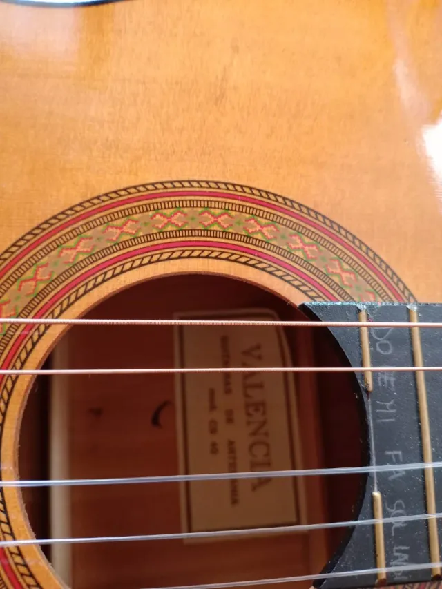 Chitarra classica con custodia e manuale