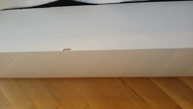 Estructura cama voladizo con somier 135