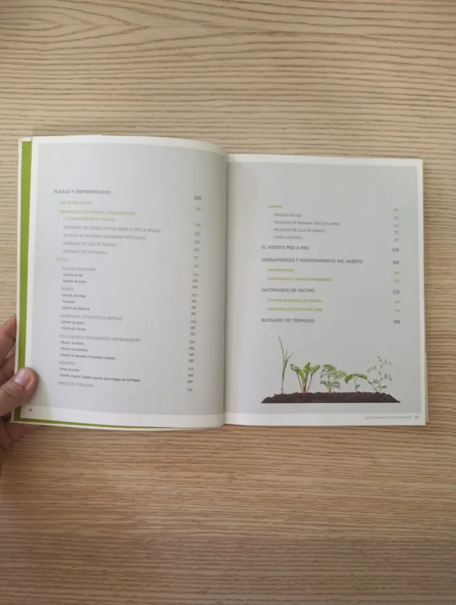 Huertos urbanos y macetohuertos