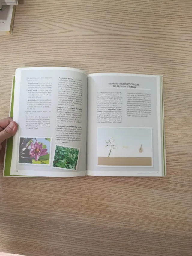 Huertos urbanos y macetohuertos