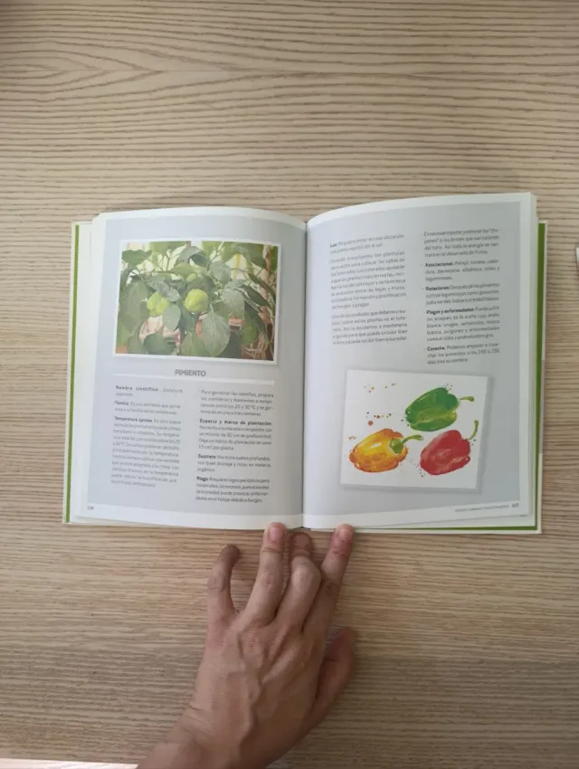 Huertos urbanos y macetohuertos