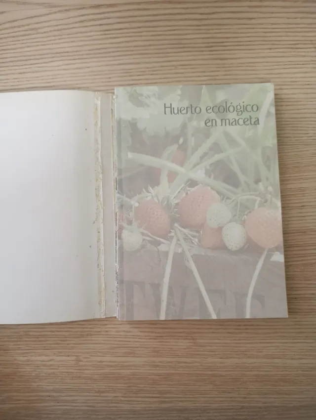 Huertos urbanos y macetohuertos