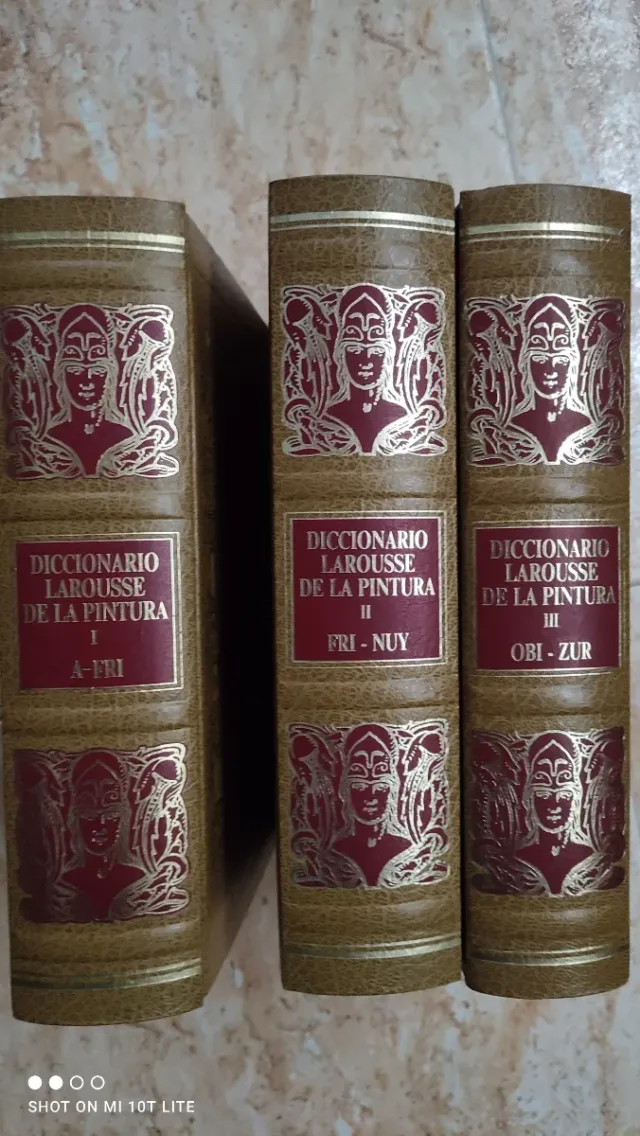 Diccionario Larousse Pintura  Peso 3,5kg