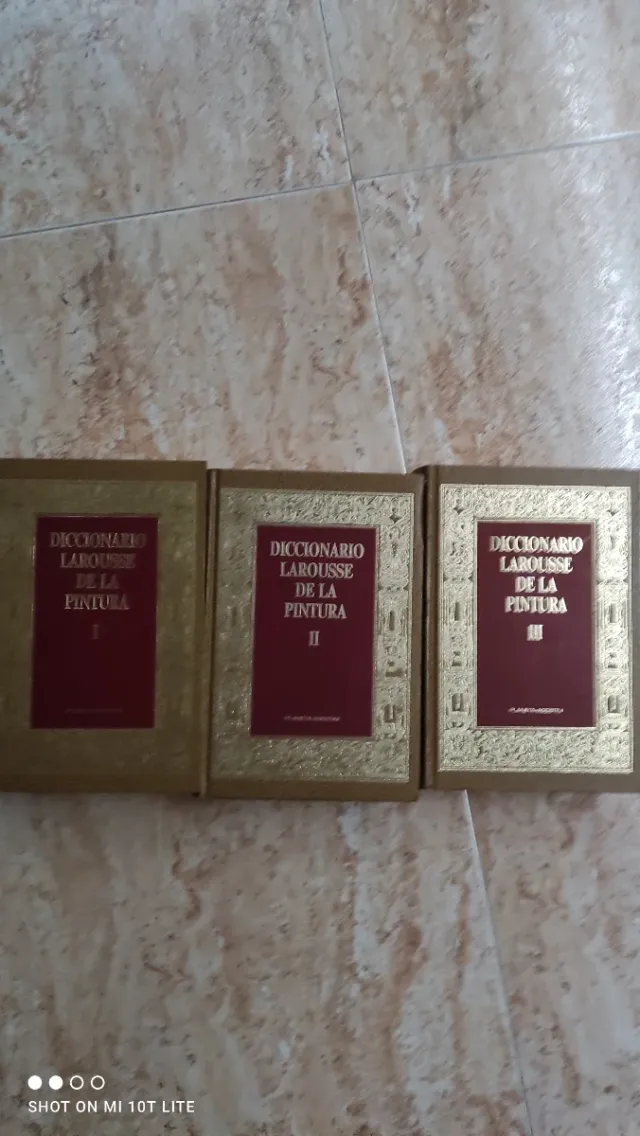 Diccionario Larousse Pintura  Peso 3,5kg