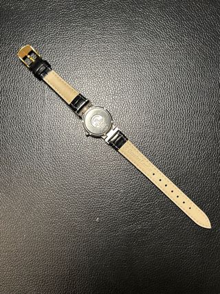 Omega Seamaster Dynamic 20mm