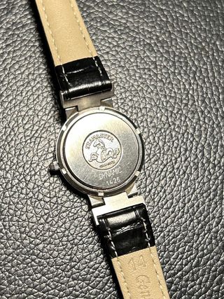 Omega Seamaster Dynamic 20mm