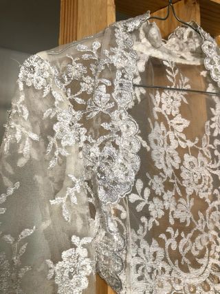 Vestido de Novia Pronovias Plata y Blanco