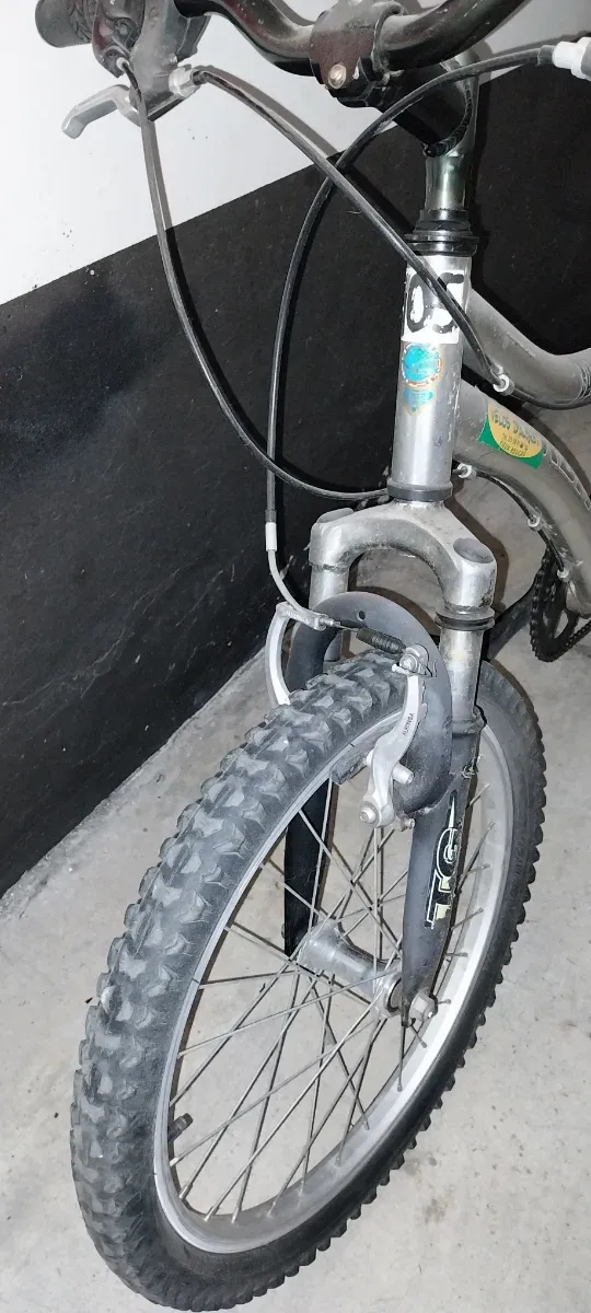 Bicicleta Orbea Shark Plata,  20"