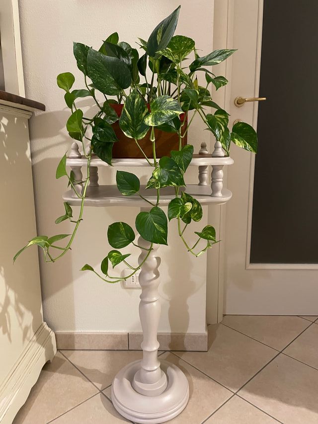 Tavolino da ingresso