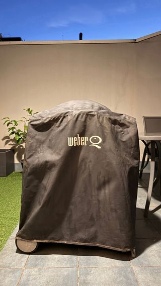 Barbacoa Elettrica Weber Beige/Grigio