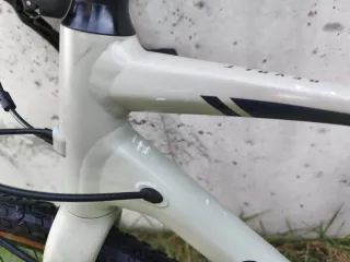 Bici Giant Revolt 1 Talla M 2021