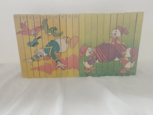 Biblioteca de lao jóvenes castores