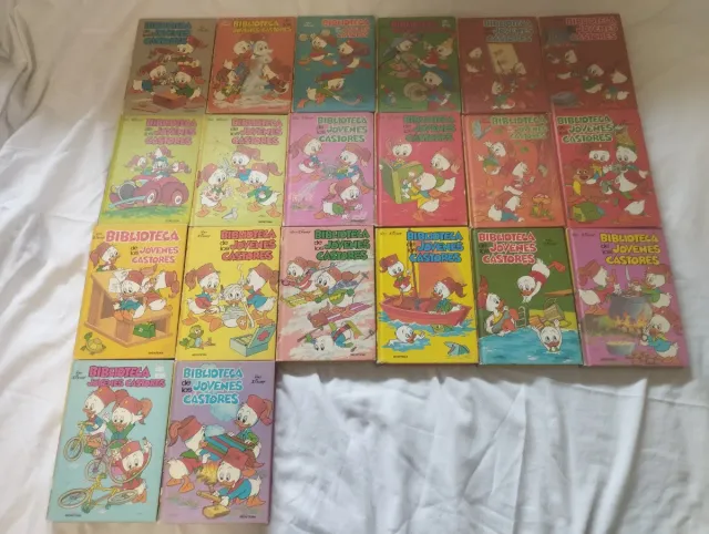 Biblioteca de lao jóvenes castores