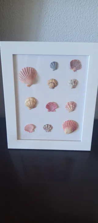 Cuadro Decorativo Conchas Marinas