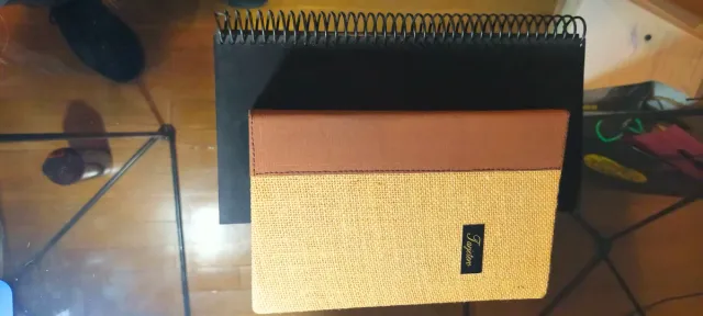 Organizador plástico Esselte transparente