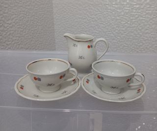 Richard Ginori - Set Bricco + 2 Tazzine caffè