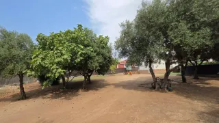 Parcela en Almendralejo C/ tijeras