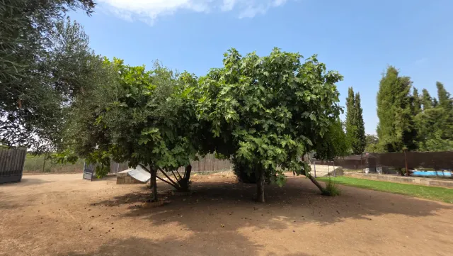 Parcela en Almendralejo C/ tijeras
