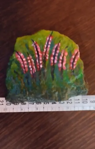 Pietre dipinte a mano.fiori e natale