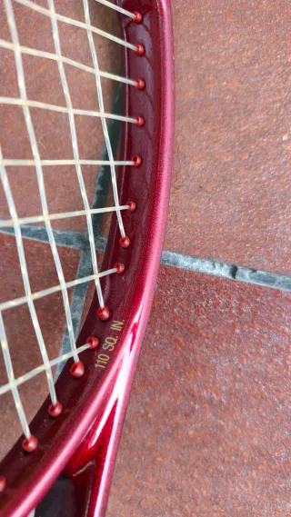 Raqueta Wilson hammer