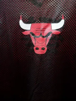 Camiseta Chicago Bulls NBA. Reversible.