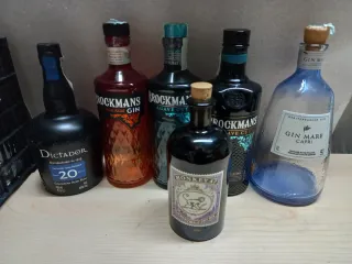Bottiglie vuote di Gin e Rum