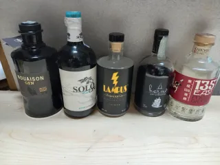 Bottiglie vuote di Gin e Rum