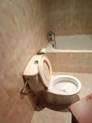 Limpieza y cuidado de personas mayores.