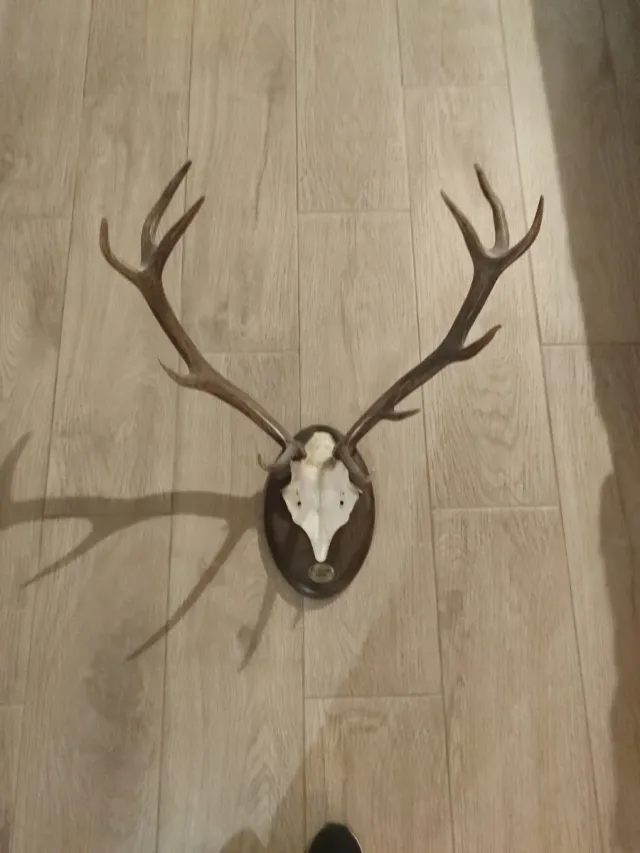 Decoración Coleccionismo 70cms  alto y 55cms ancho