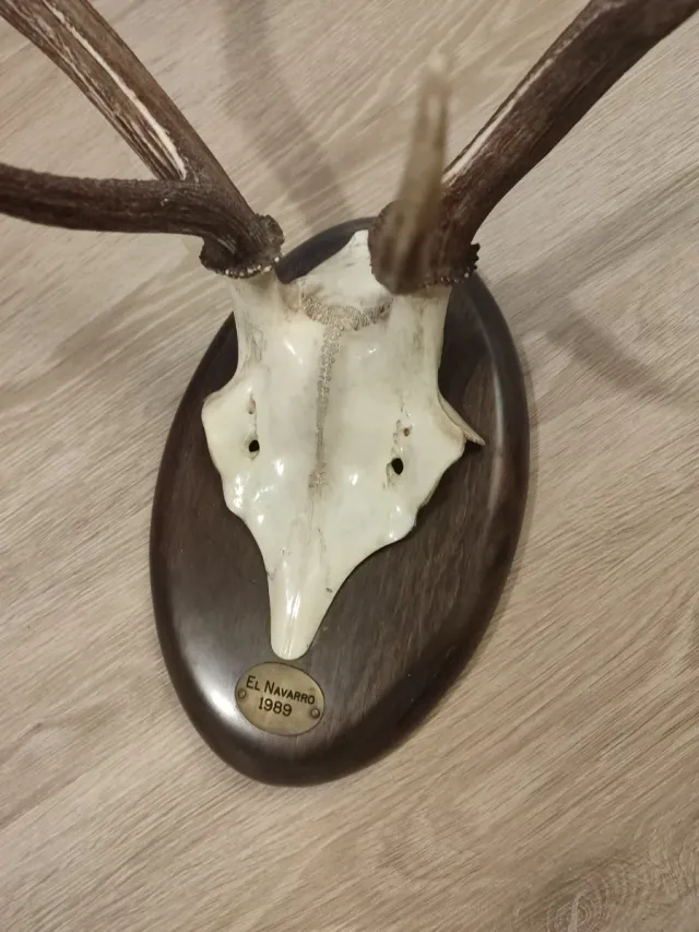 Decoración Coleccionismo 70cms  alto y 55cms ancho