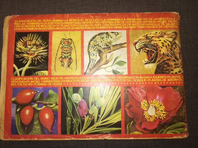 Album di figurine Maga Zoologia e Botanica