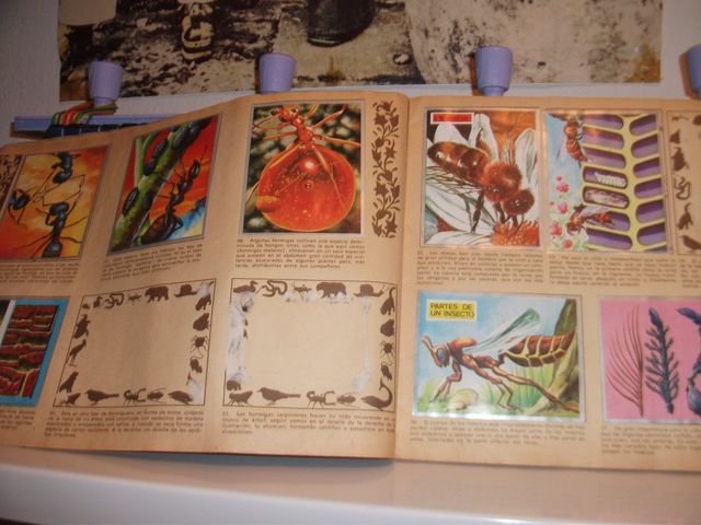 Album di figurine Maga Zoologia e Botanica